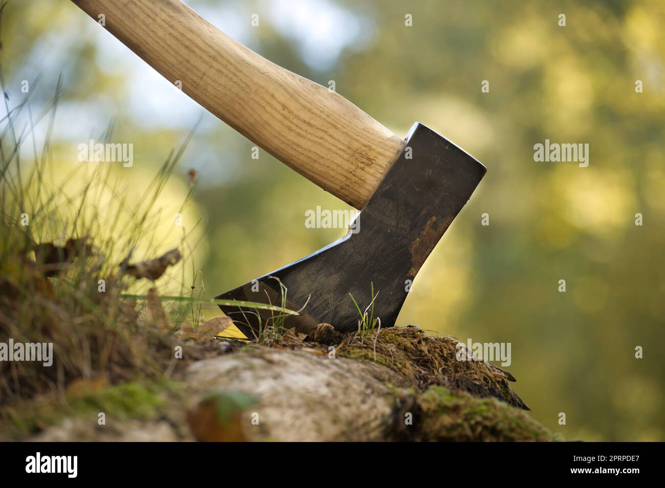 Chopper o ascia in piedi in verticale in un vecchio ceppo di albero all'aperto contro uno sfondo di bosco sfocato Foto Stock