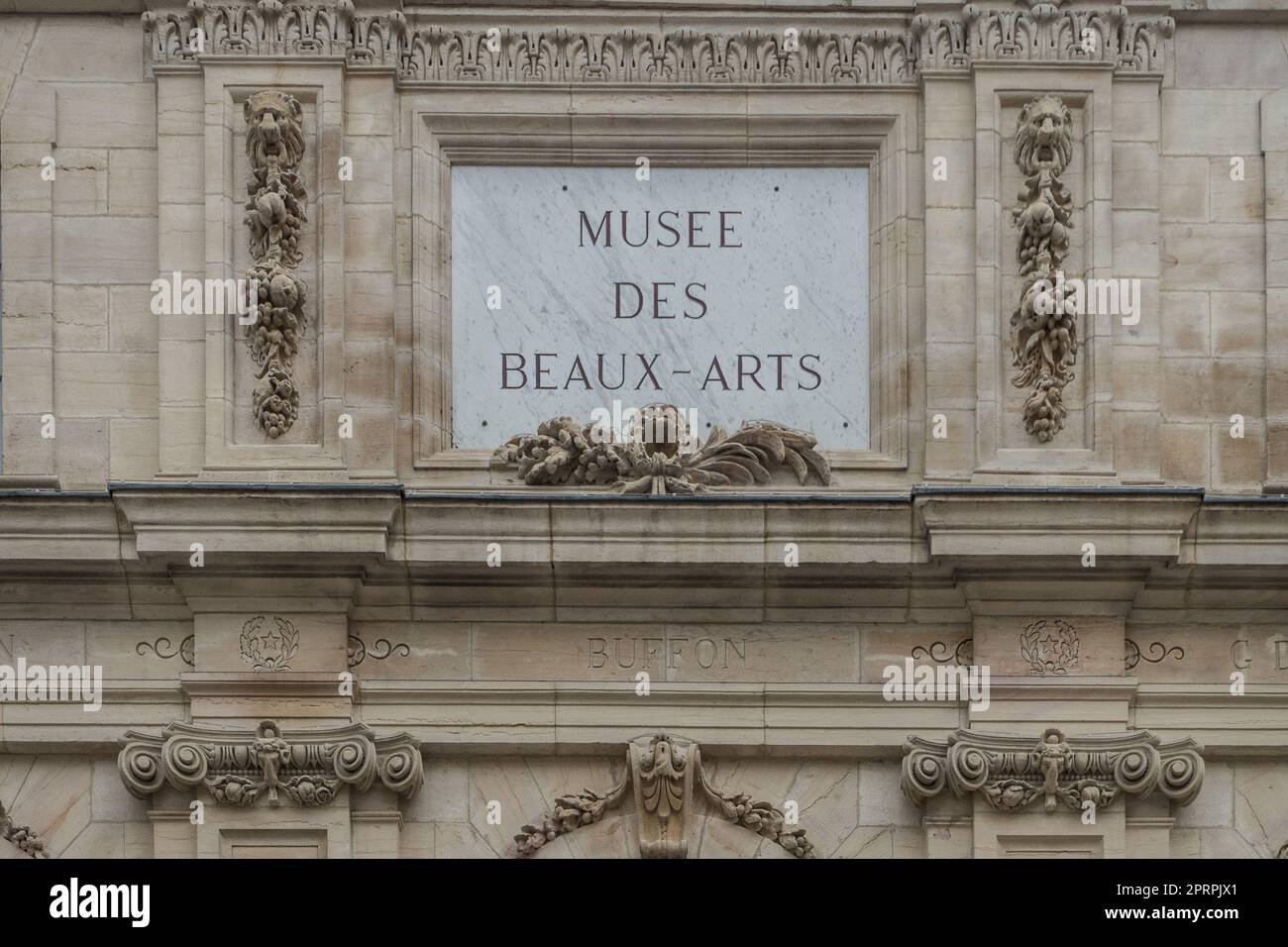 Musee des Beaux-Arts, Digione, Francia Foto Stock