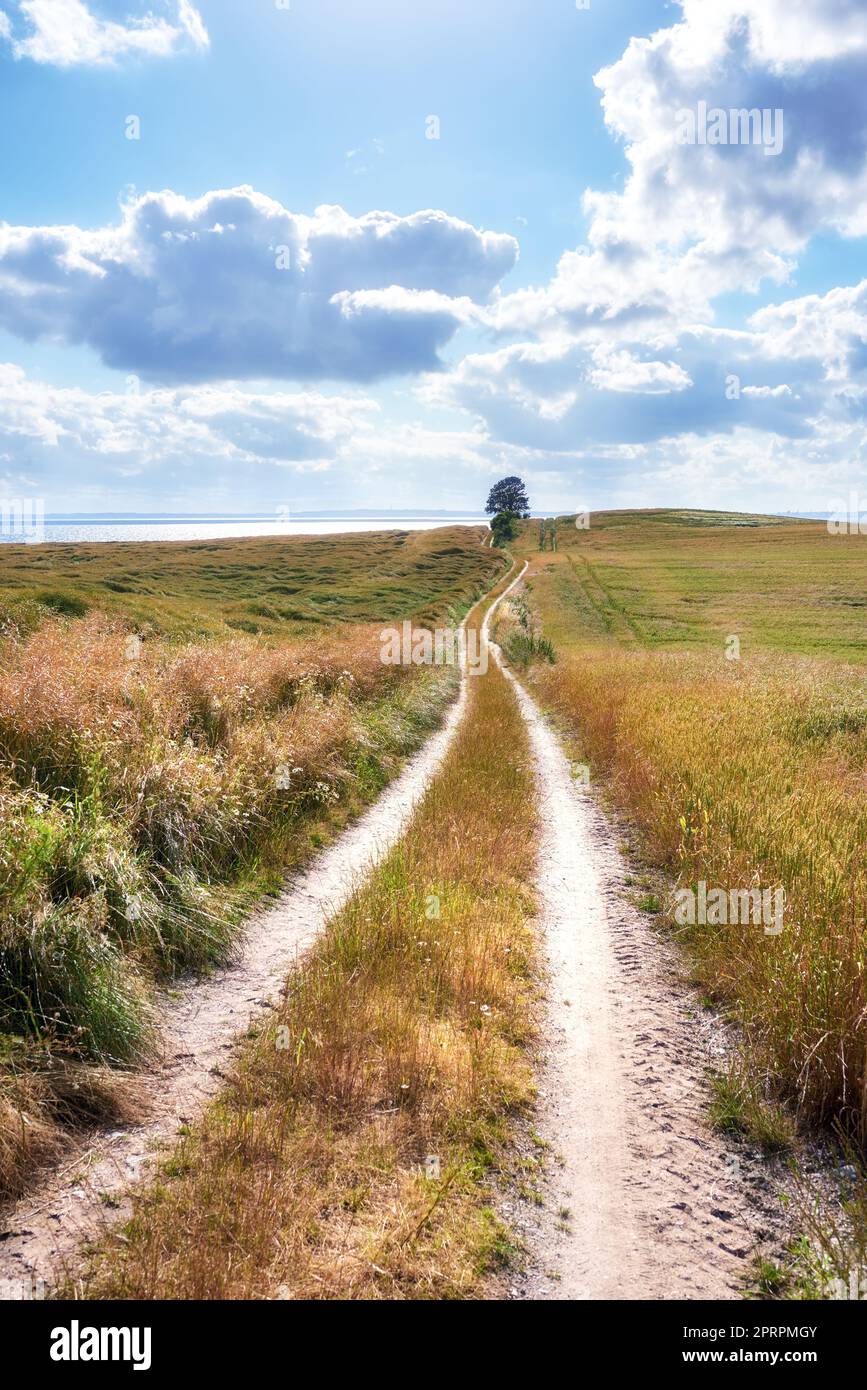 Strada sterrata in un ambiente bellissimo. Strada di campagna in campagna - Helgenaes, Danimarca. Foto Stock