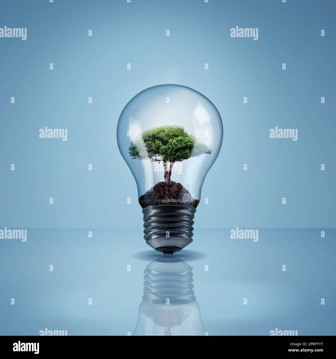 Aiutare l'ambiente risparmiando elettricità. Studio shot di un albero che cresce all'interno di una lampadina. Foto Stock