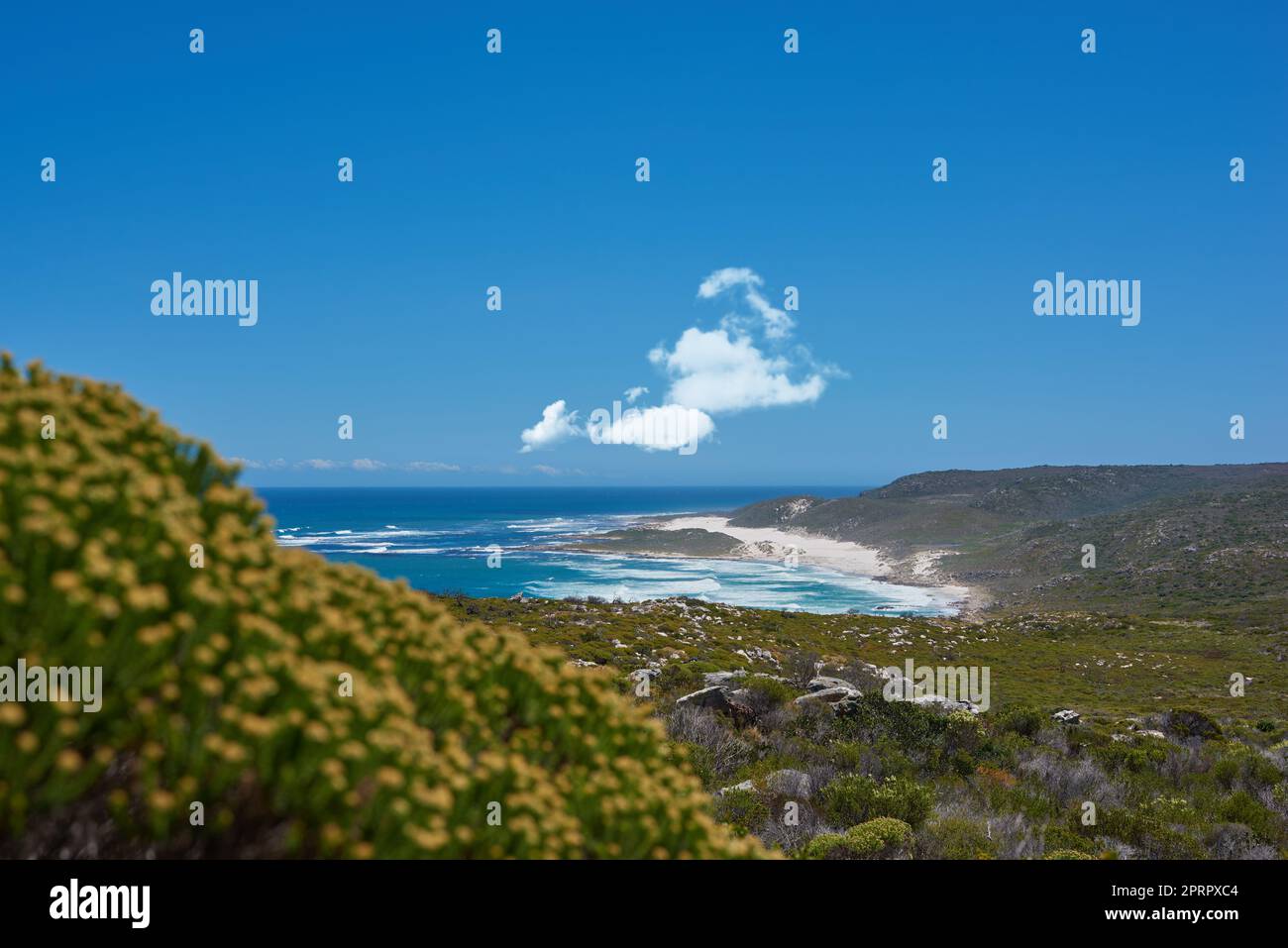 Zona costiera vicino a Cape Twon - Western Cape. Zona costiera vicino a Città del Capo, Sud Africa. Foto Stock