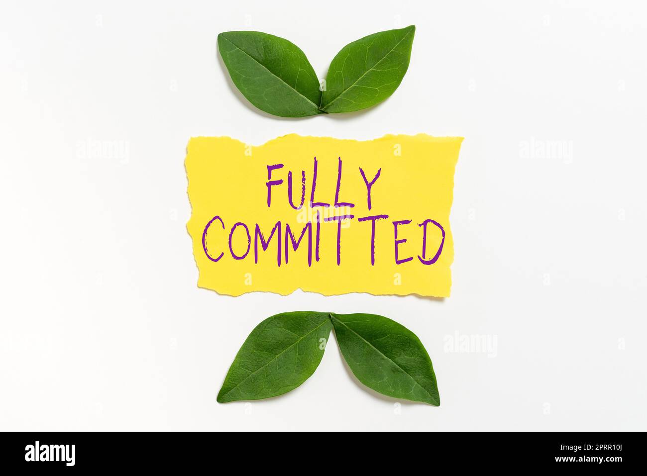 Didascalia concettuale completamente CommittedExtremely ha accettato di fare qualcosa nella vita definitivamente. Parola per estremamente accosentito fare qualcosa nella vita definitivamente Foto Stock