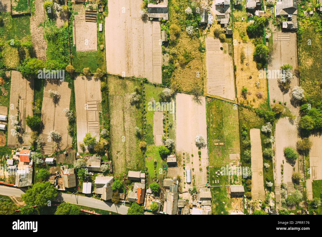 Russia. Vista aerea della piccola città, skyline del paese nel giorno d'estate. Quartiere residenziale, Case e Giardini vegetali Letti in vista Bird'occhio Foto Stock