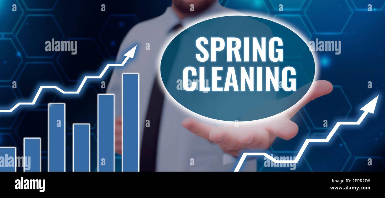 Testo che mostra Inspiration Speedy Deliveryfornisce prodotti in modo rapido o con spedizione in giornata all'estero. Concetto significa pratica di pulizia accurata della casa in primavera Foto Stock