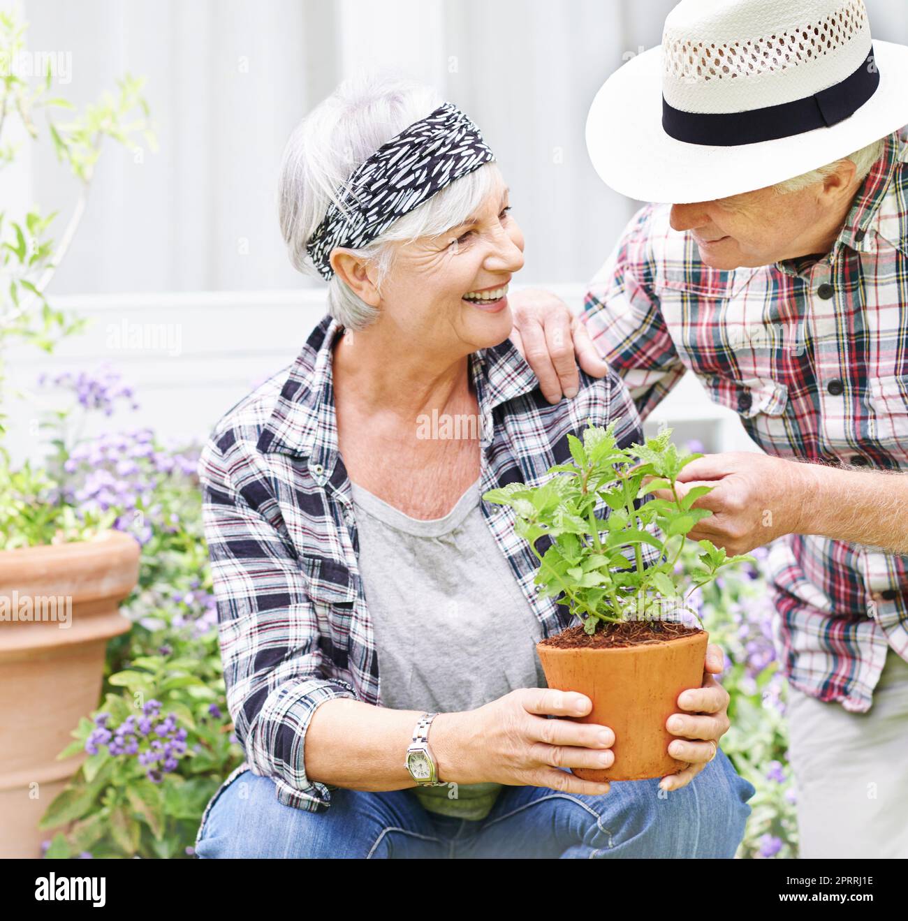 Finalmente abbiamo tempo di giardino. Una coppia anziana felice che fa il giardinaggio occupato nel loro cortile posteriore. Foto Stock