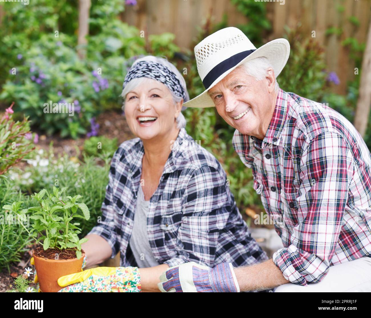 Il giardinaggio è il nostro nuovo hobby. Una coppia anziana felice che fa il giardinaggio occupato nel loro cortile posteriore. Foto Stock