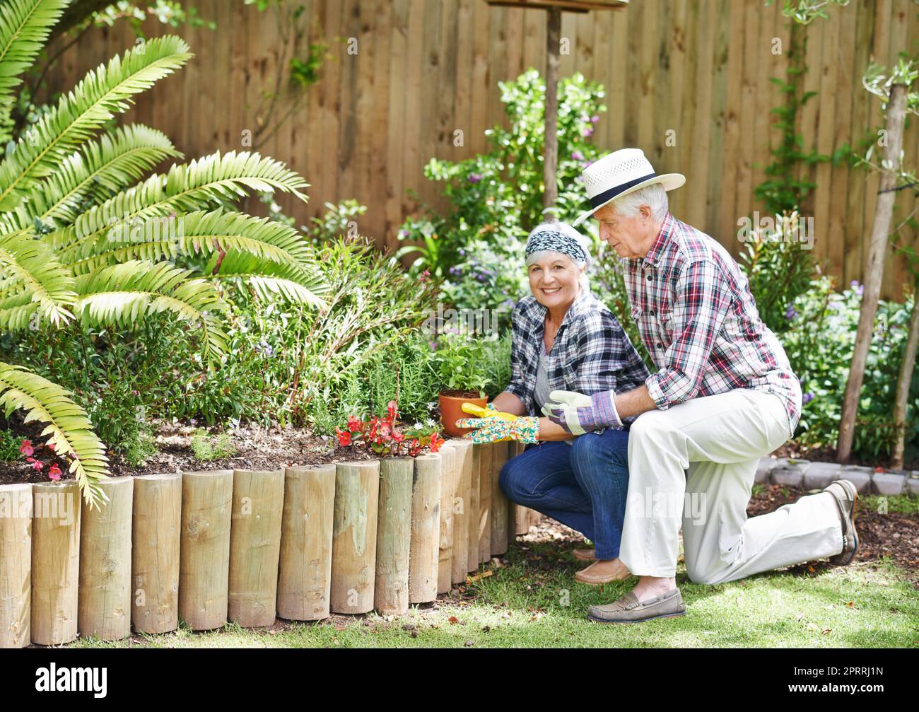 Il giardinaggio è il senso migliore rimanere giovane. Una coppia anziana felice che fa il giardinaggio occupato nel loro cortile posteriore. Foto Stock