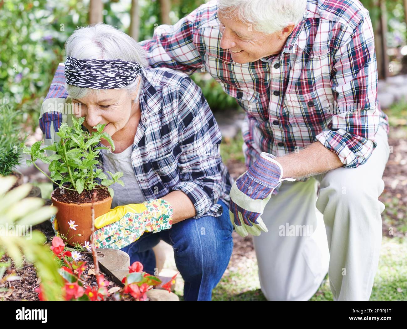 Theres niente come l'odore delle erbe fresche... Una coppia anziana felice che fa il giardinaggio occupato nel loro cortile posteriore. Foto Stock