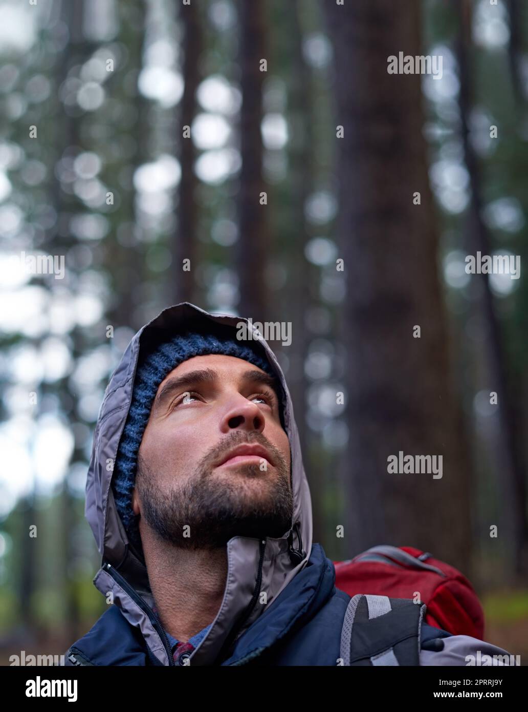 Respirare la freschezza della foresta. Ritratto di un giovane uomo che indossa uno zaino durante le escursioni nella foresta. Foto Stock