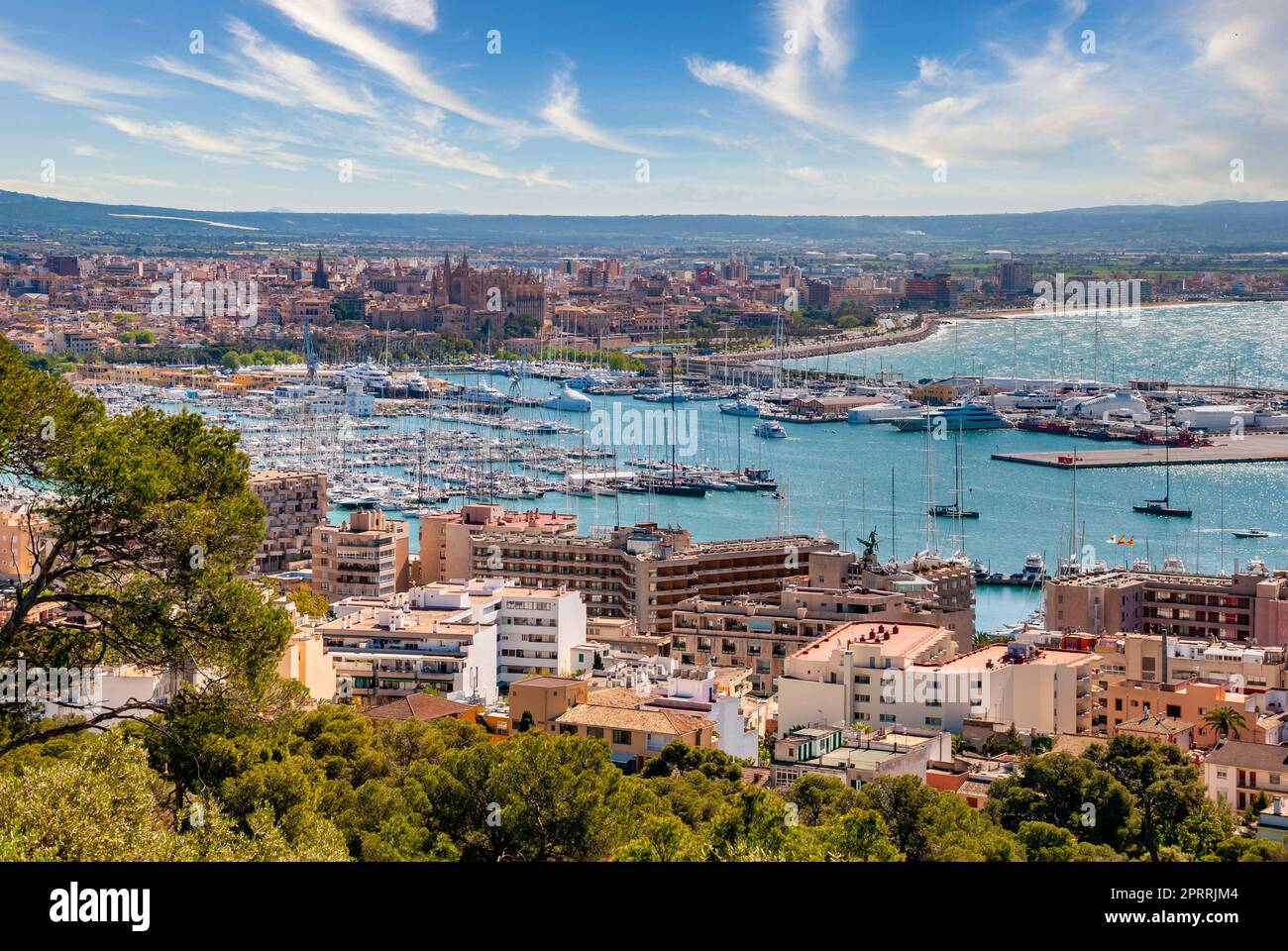 Vista aerea del paesaggio urbano di Palma di Maiorca con molti edifici in Spagna Foto Stock