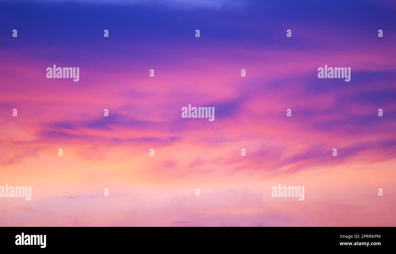 Trend sfondo colore Foto Stock