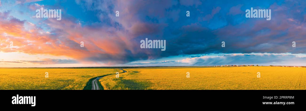 Vista aerea dell'auto in SUV parcheggiata vicino a Countryside Road nel paesaggio rurale di Spring Field. Fioritura di colza, semi oleosi a Field Meadow nella stagione primaverile. Fioritura di Canola Fiori gialli Foto Stock