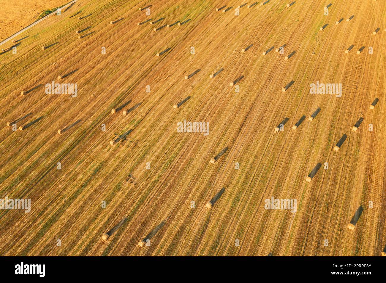 Vista aerea del paesaggio estivo del campo di paglia di Hay Rolls in serata. Pagliaio, rotolo di fieno in tempo di alba. Stagione della mietitura con sfondo agricolo naturale. Foto Stock