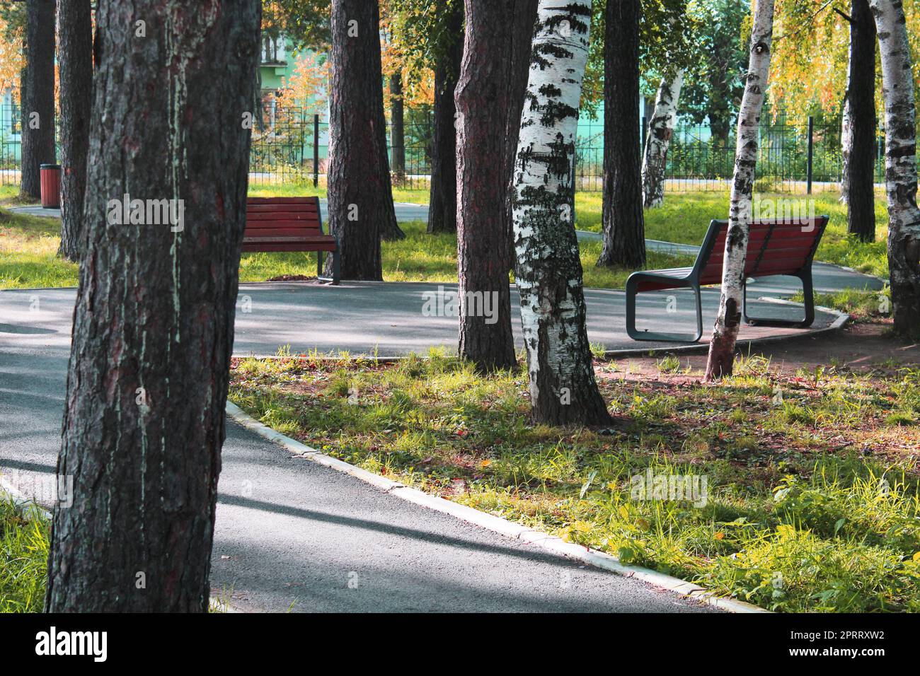 Parco cittadino con sentieri e panchine. Luogo di riposo e passeggiate. Architettura urbana Foto Stock