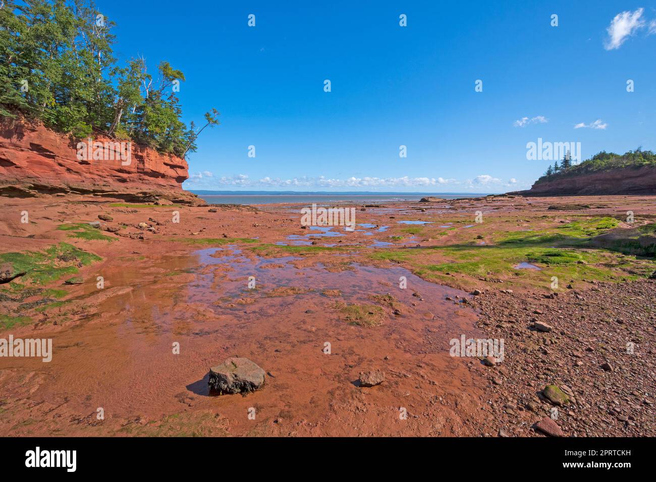 Low Tide nella Baia di Fundy Foto Stock