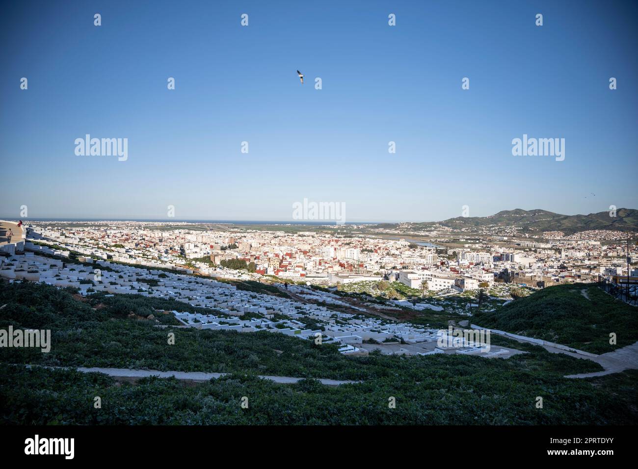 Vista della città di Tetouan dalla cima del cimitero di Sidi El Mandri. Foto Stock