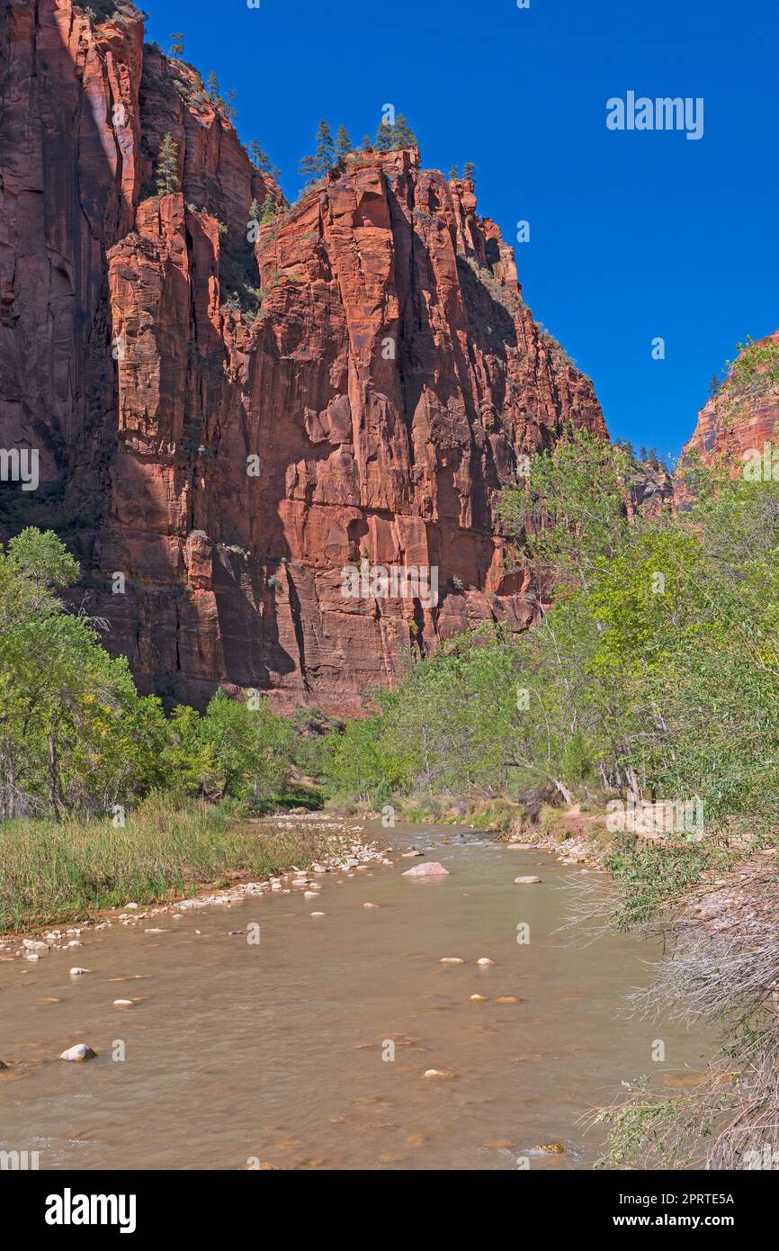 Il fiume Virgin si dirige verso un ripido Canyon Foto Stock