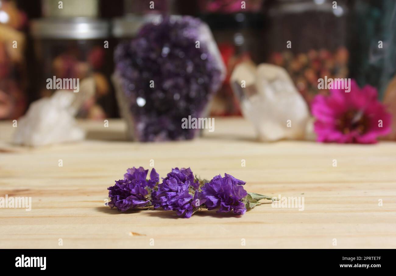 Cristalli di ametista con fiori sulla tabella di meditazione Foto Stock