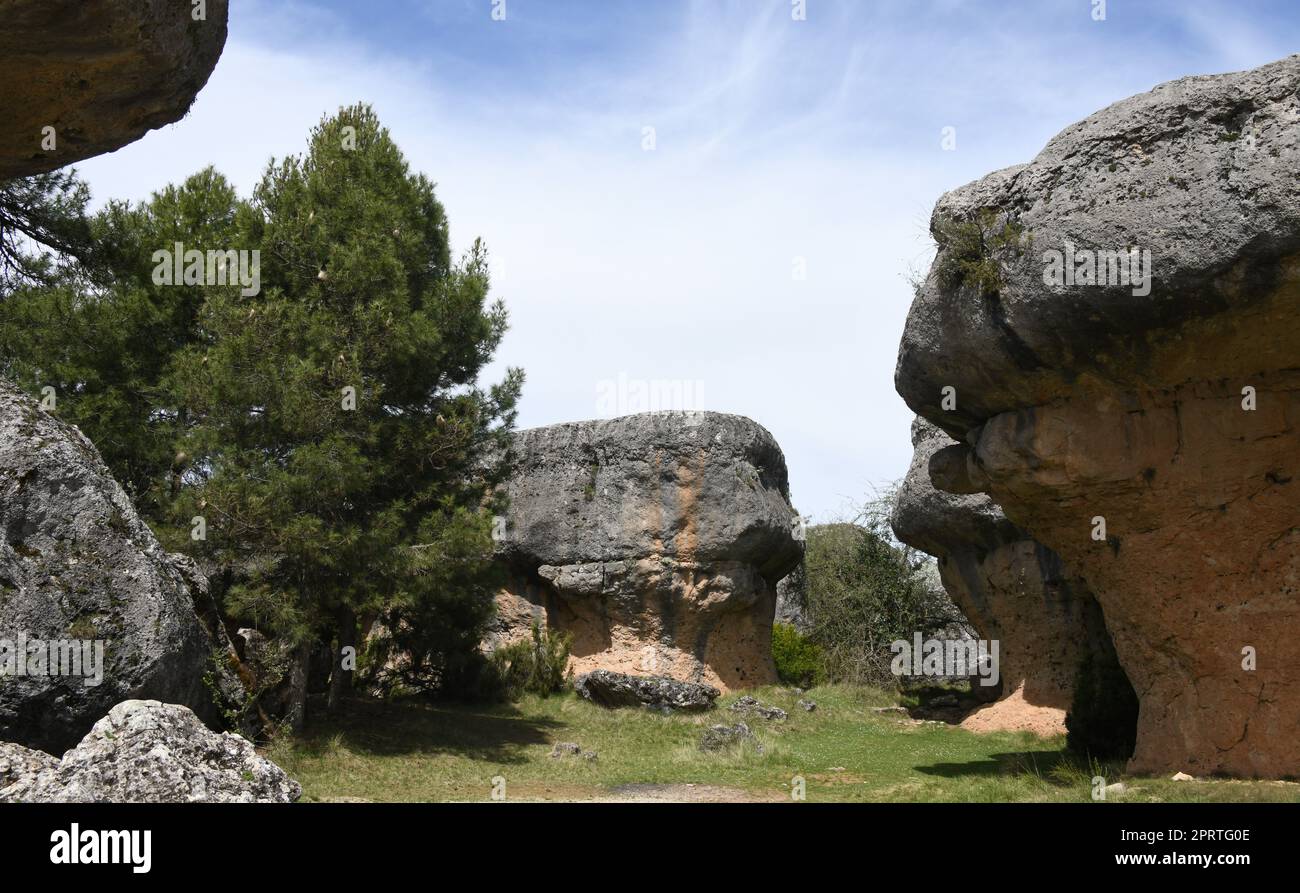 La foresta, gli alberi e le formazioni rocciose nella "Ciudad Encantada", nel cuore del Parco naturale della Serrania de Cuenca, provincia di Cuenca, Spagna, 12 maggio 2022 Foto Stock