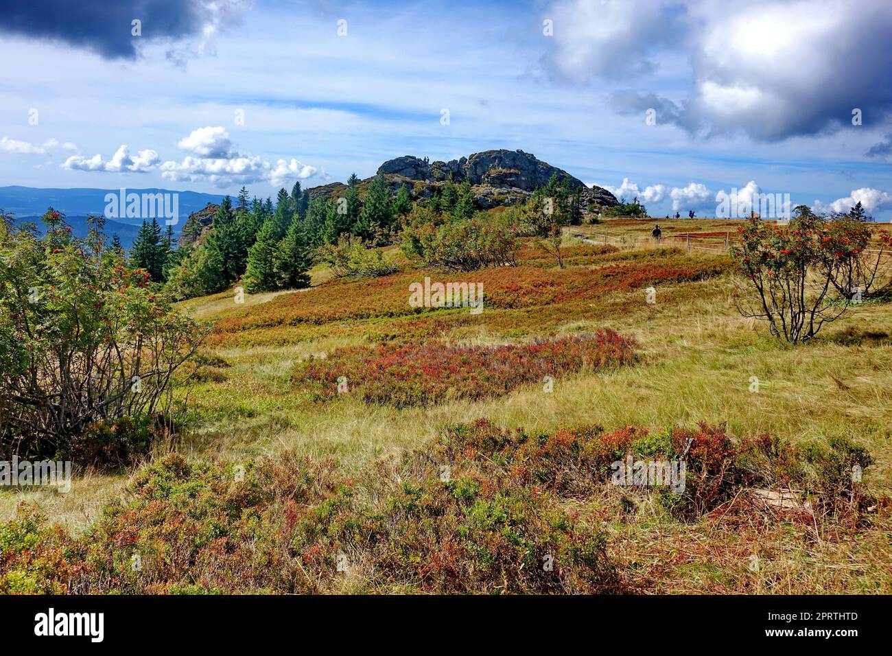 Europa, Germania, Baviera, bassa Baviera, foreste bavaresi, Landkreis Regen, Großer Arber, area sommitale, riserva naturale Foto Stock