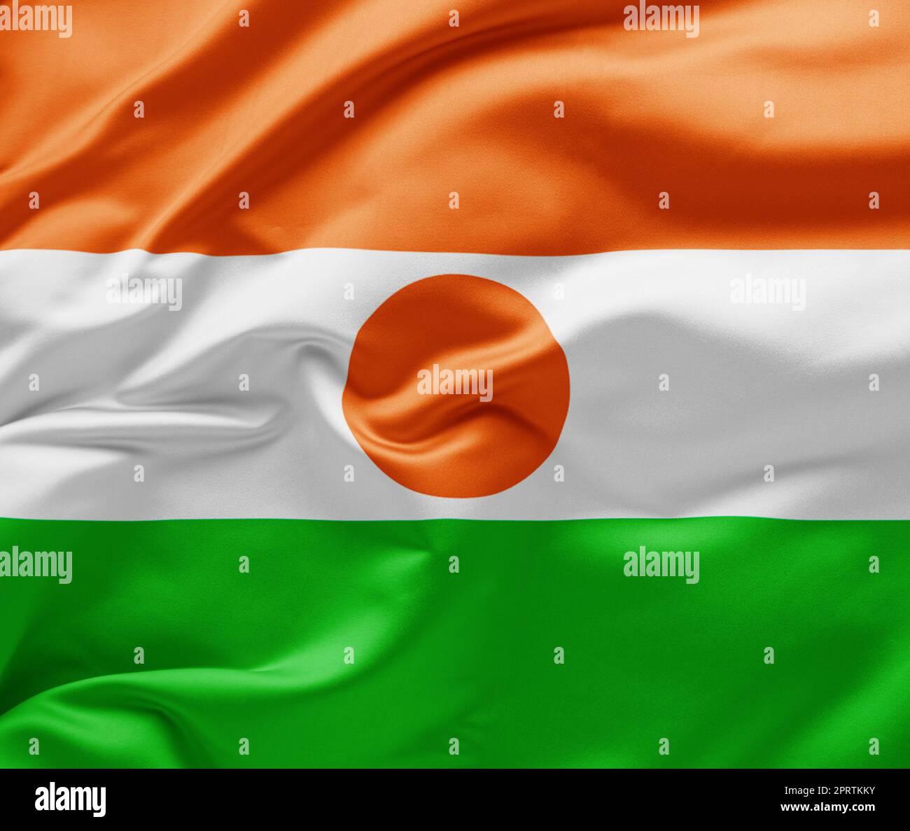 Sventolando la bandiera nazionale del Niger Foto Stock