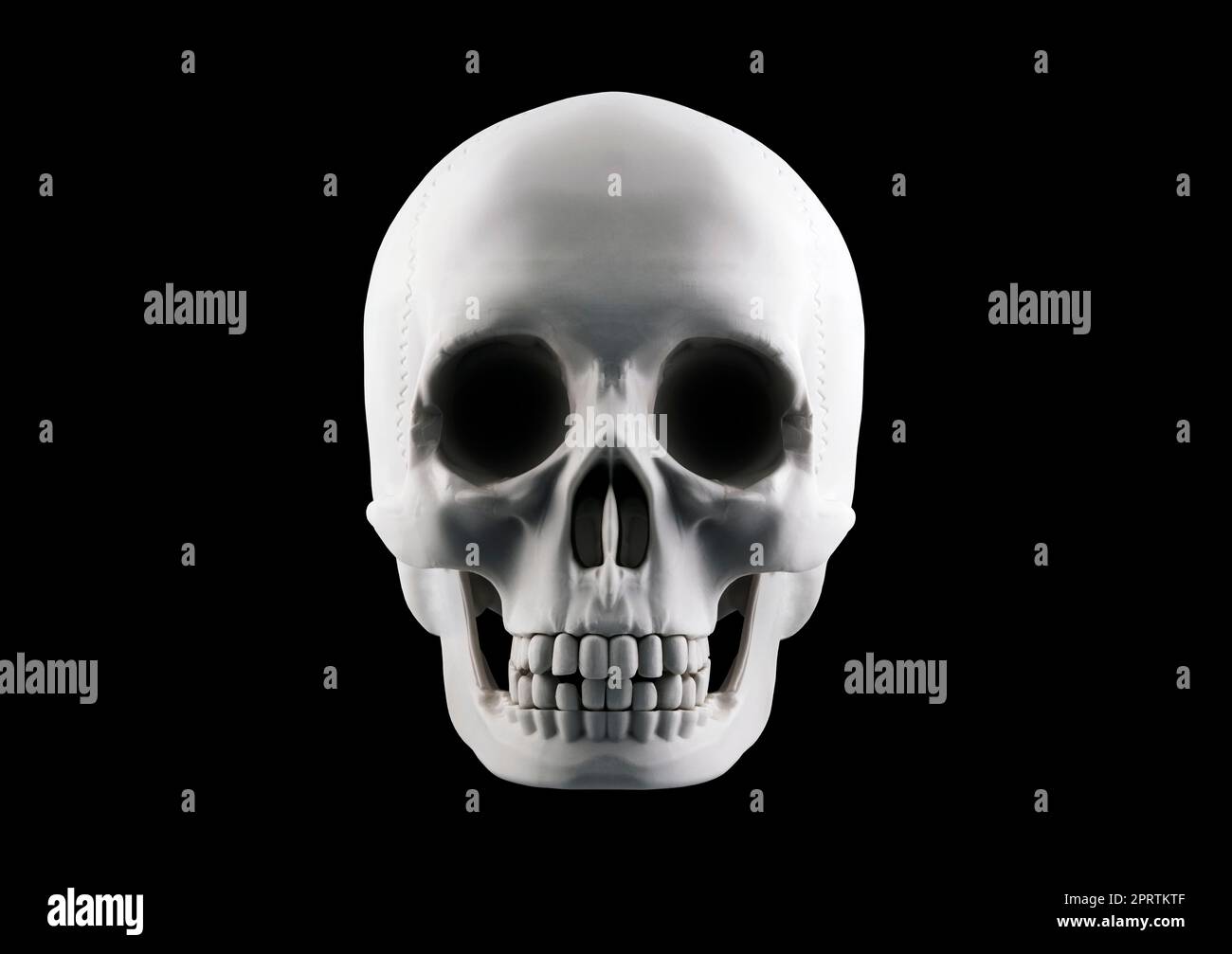 Cranio umano isolato su sfondo nero con tracciato di ritaglio Foto Stock
