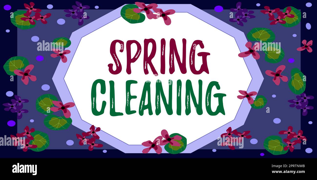 Testo che mostra Inspiration Speedy Deliveryfornisce prodotti in modo rapido o con spedizione in giornata all'estero. Concetto significa pratica di pulizia accurata della casa in primavera Foto Stock