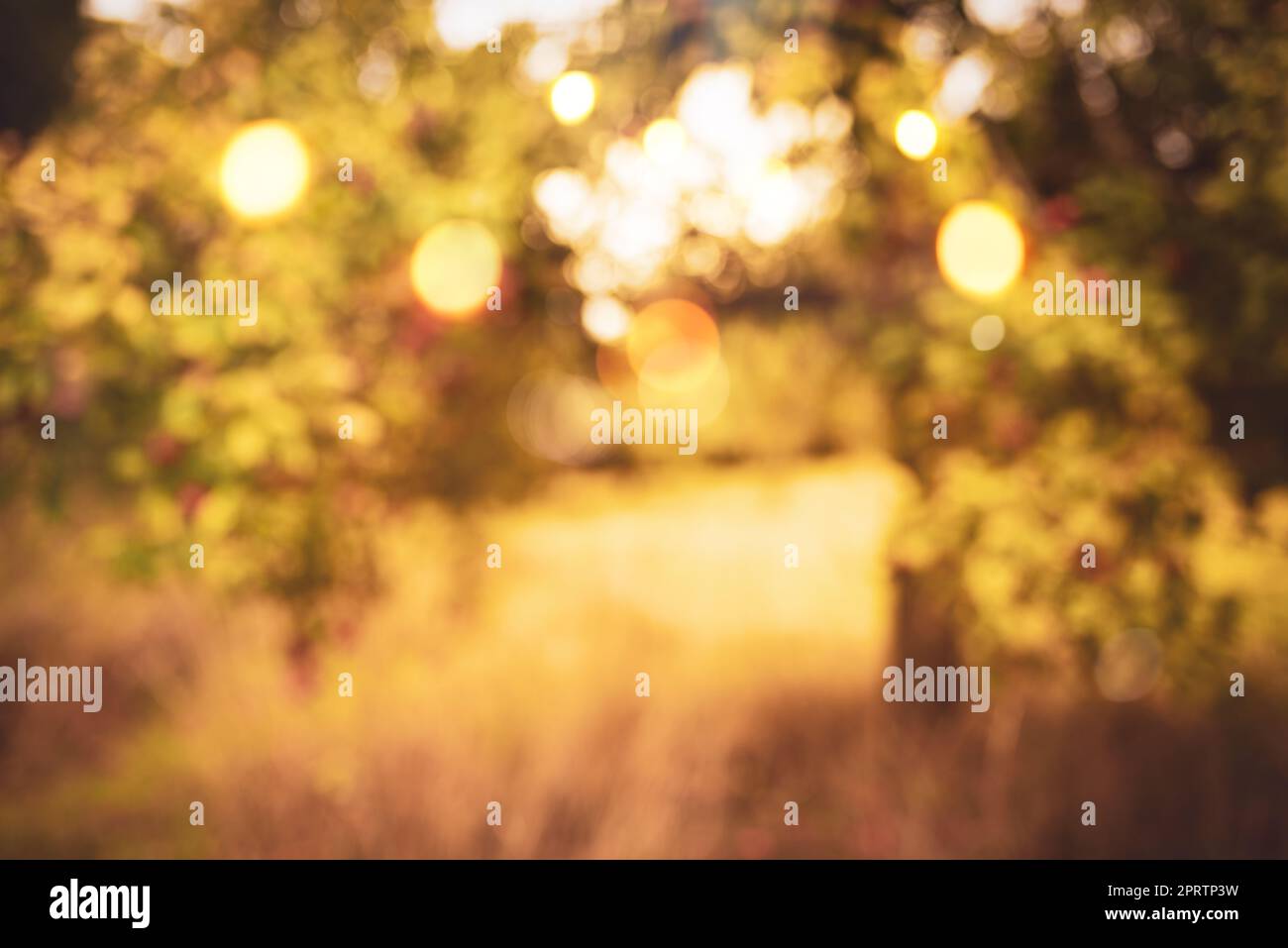 Abstract background di autunno Foto Stock