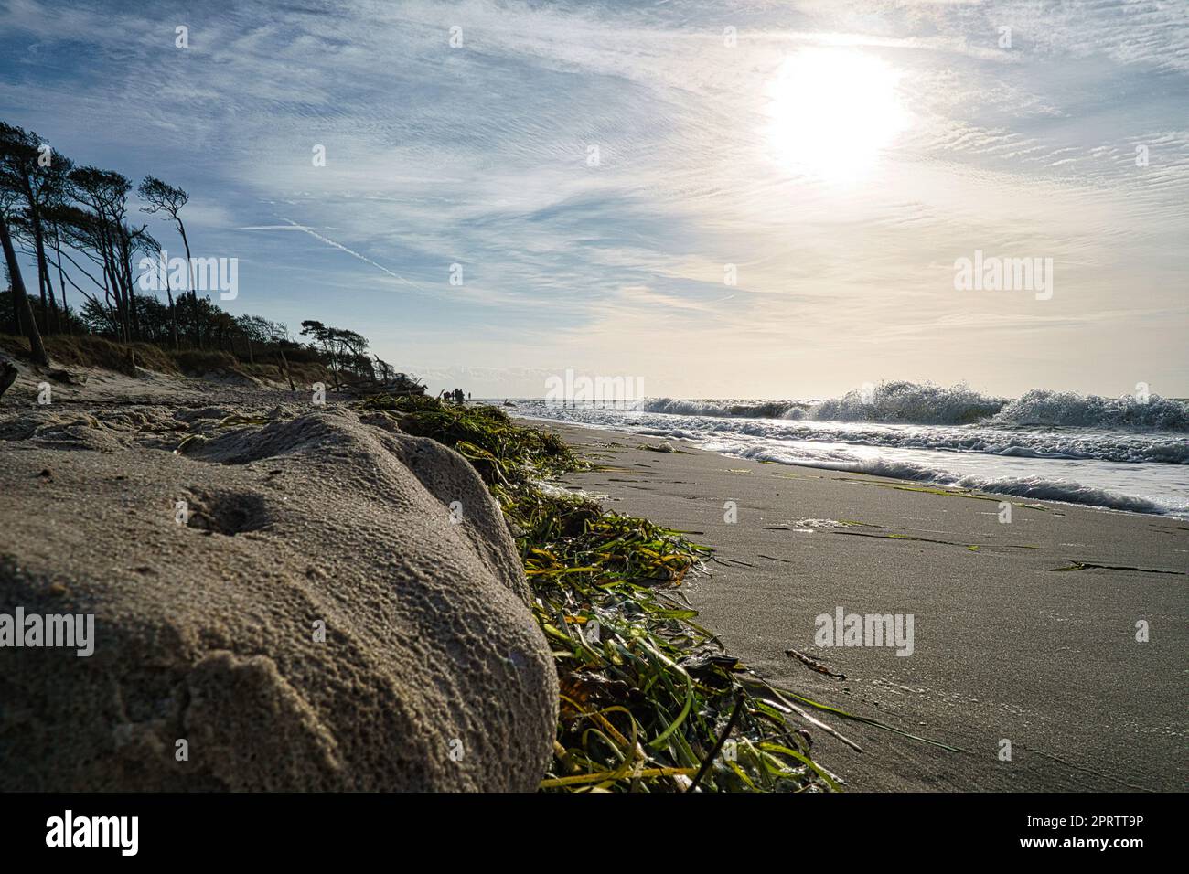 spiaggia occidentale sulla spiaggia del mar baltico. natura morta ricca di dettagli e texture. Foto Stock