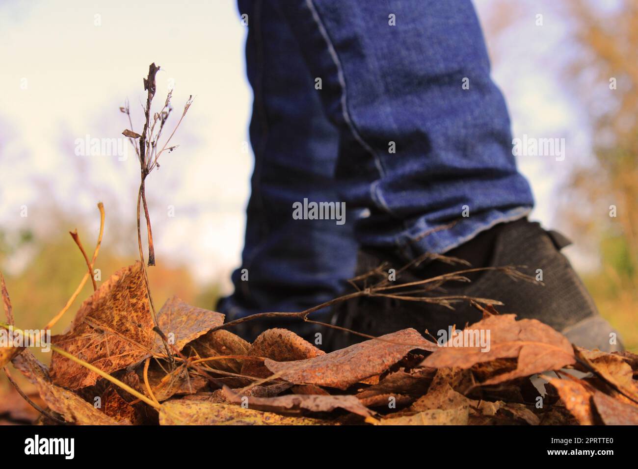 Jeans e sneakers nere hotsell