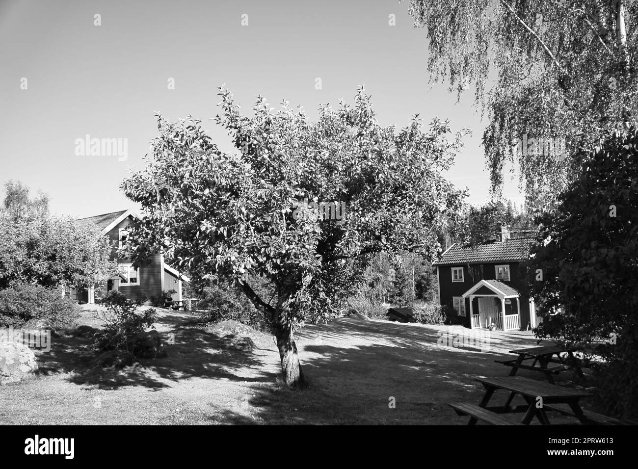 Svedese in bianco e nero. Casa tradizionale nel piccolo, recinzione, giardino Foto Stock