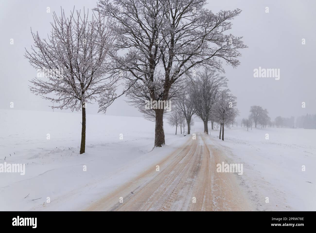 Strada polverosa con neve fresca Foto Stock