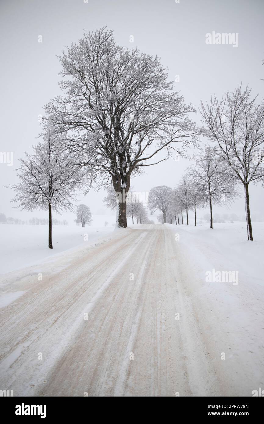 Strada polverosa con neve fresca Foto Stock