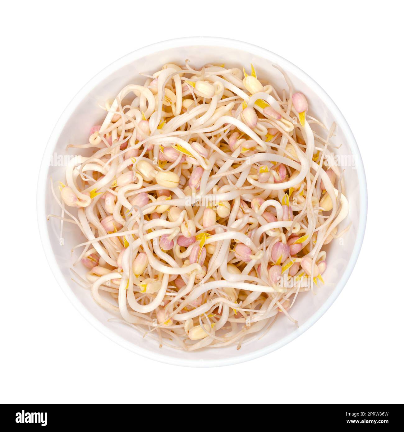 Germogli di soia in una ciotola bianca, dall'alto, isolata, su sfondo bianco Foto Stock