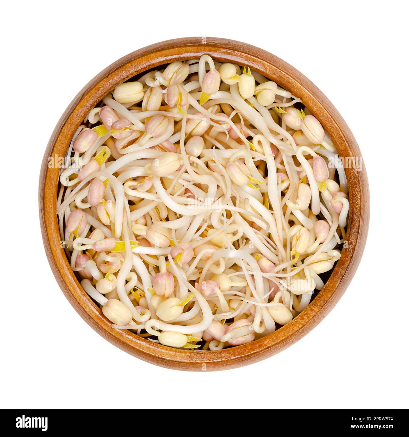 Germogli di soia in una ciotola di legno, dall'alto, isolata, su sfondo bianco Foto Stock