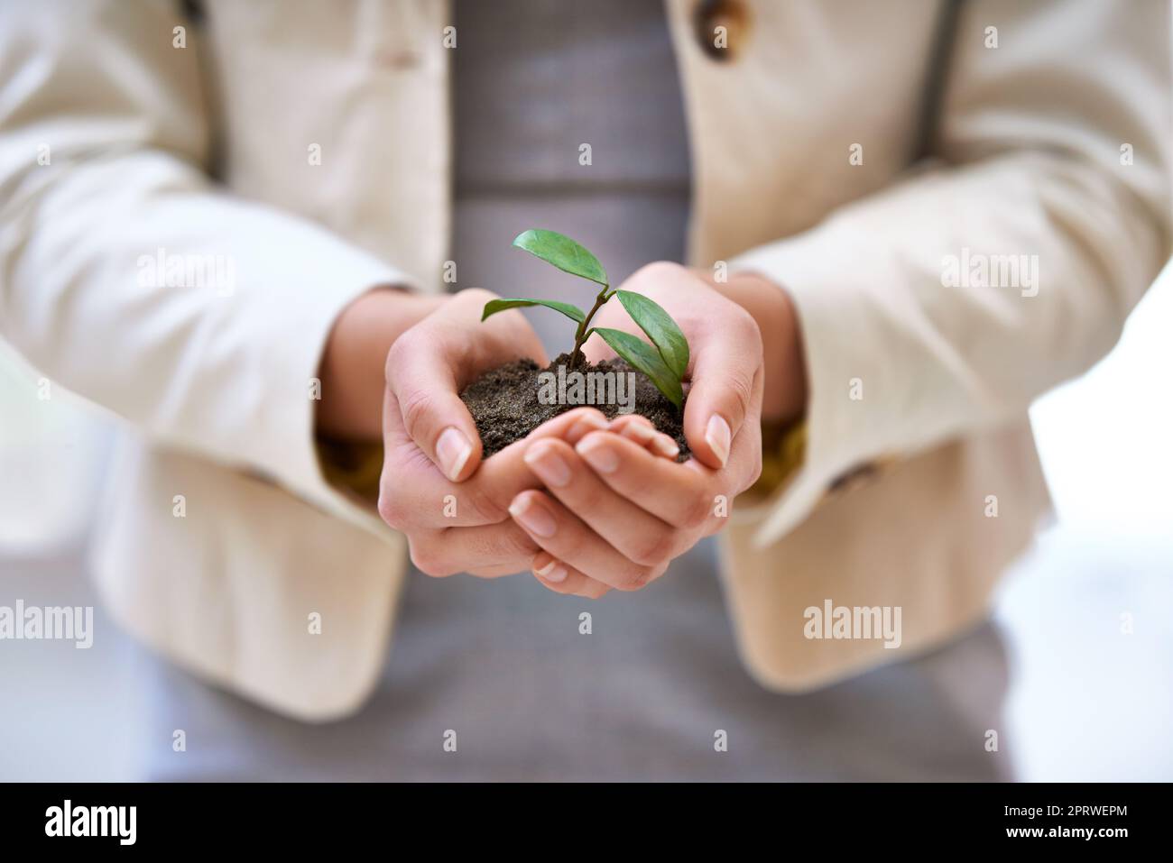 Ci vuole tempo per costruire un business. Mani che tengono una pianta in erba. Foto Stock