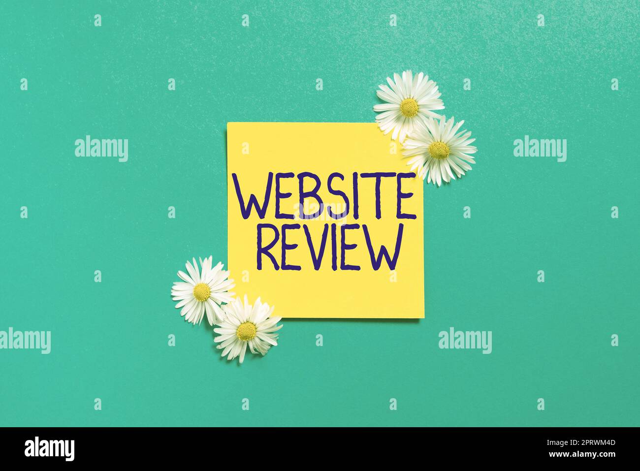 Scrittura visualizzazione di testo revisione del sito Web Recensioni che possono essere pubblicate su aziende e servizi. Word for Reviews che può essere pubblicato su aziende e servizi Foto Stock