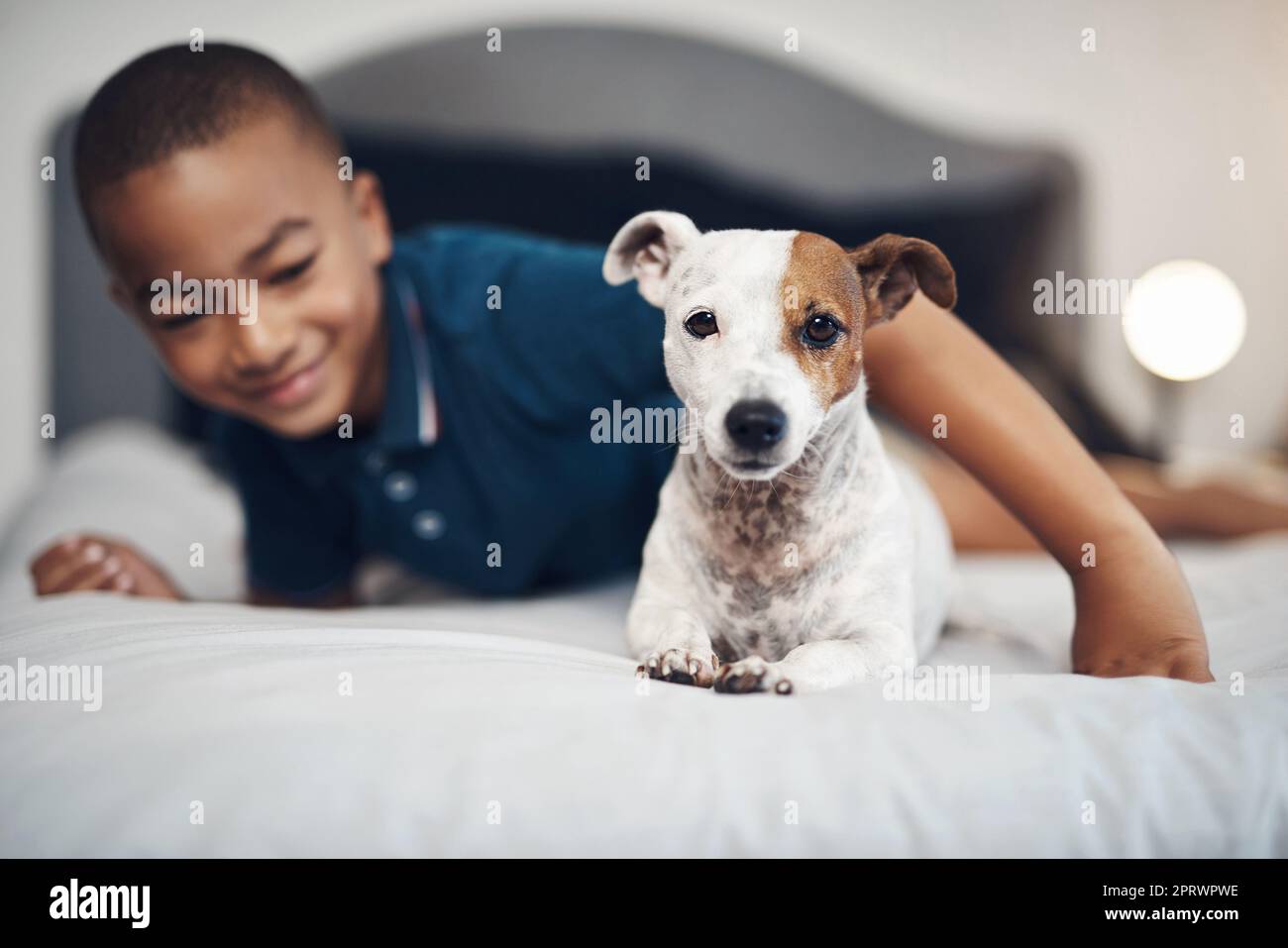 Crescere con il migliore fratello del mondo, un adorabile ragazzino che gioca con il suo cane sul letto di casa. Foto Stock