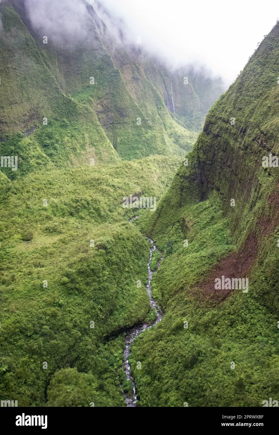 Cascata della Foresta pluviale hawaiana a kauai Foto Stock
