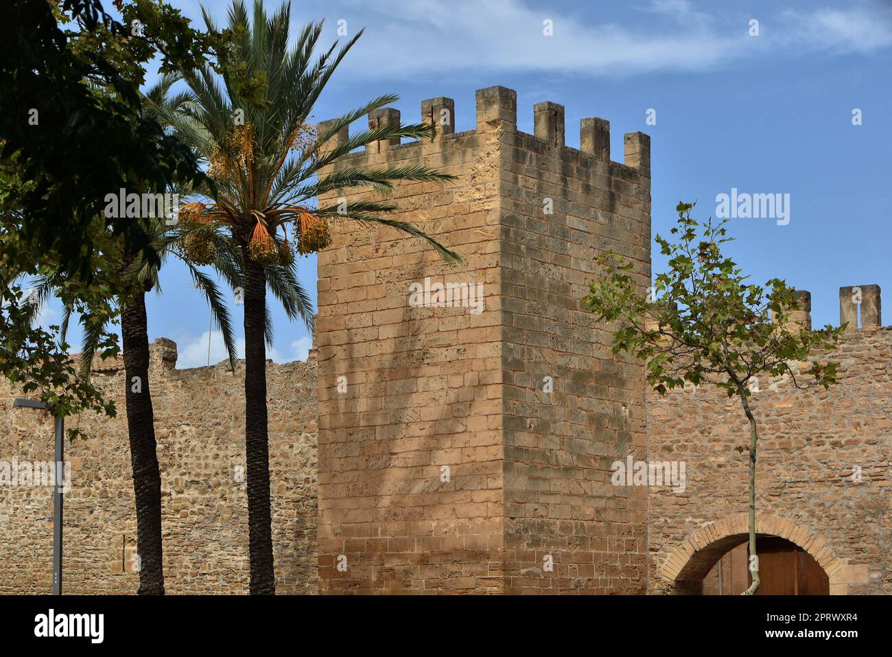 Torre cittadina su Alcudia Foto Stock