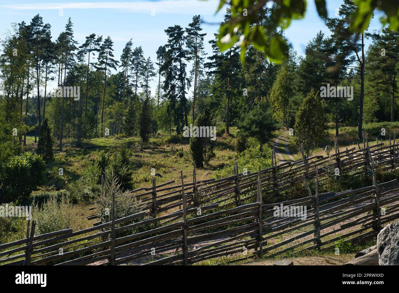 Passeggia nel piccolo e piccolo paese della svezia su un sentiero vicino all'antica recinzione in legno. Foresta, prato, cielo Foto Stock