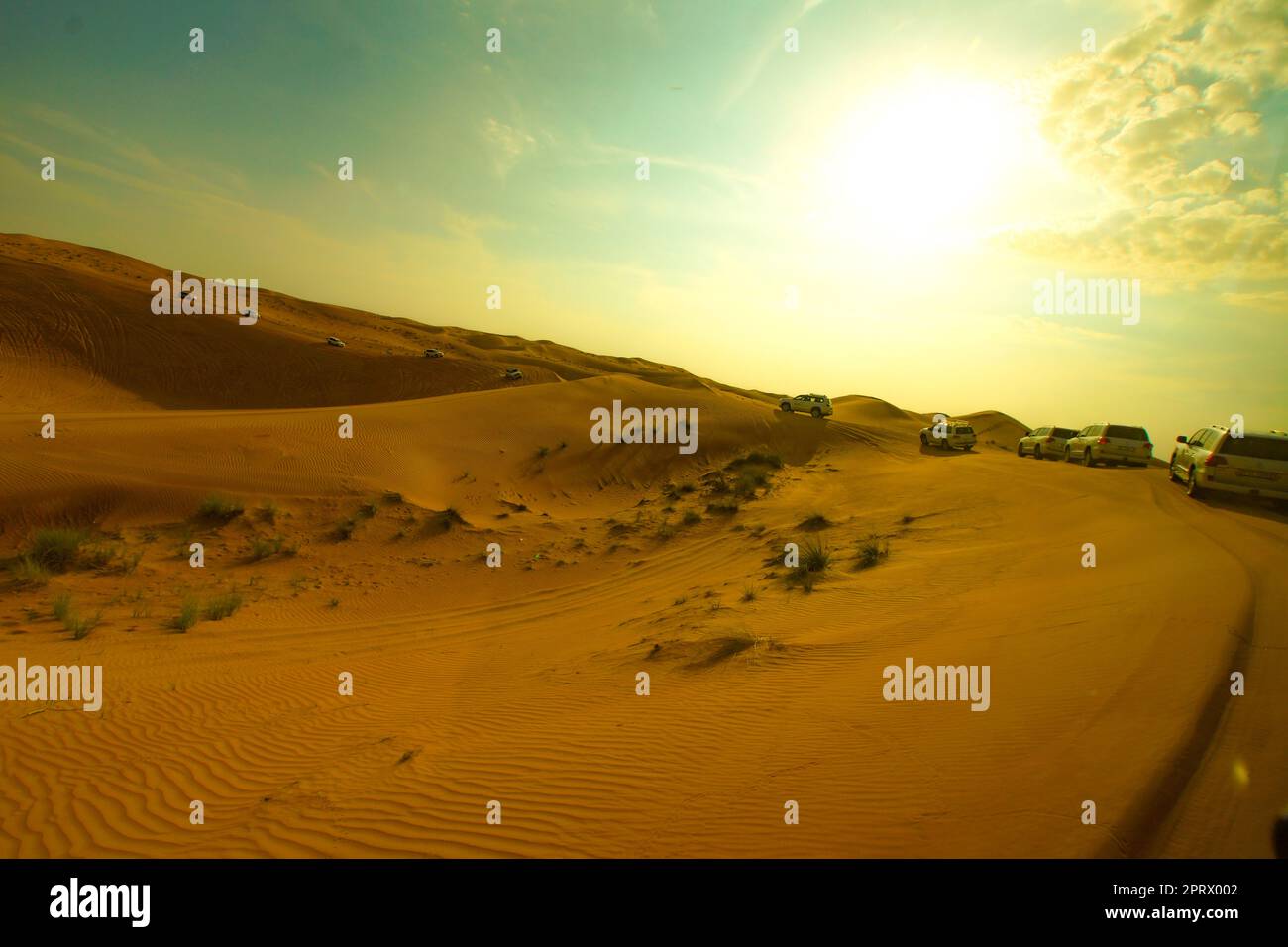 Arabia Desert (Emirati Arabi Uniti Dubai Prince) Foto Stock