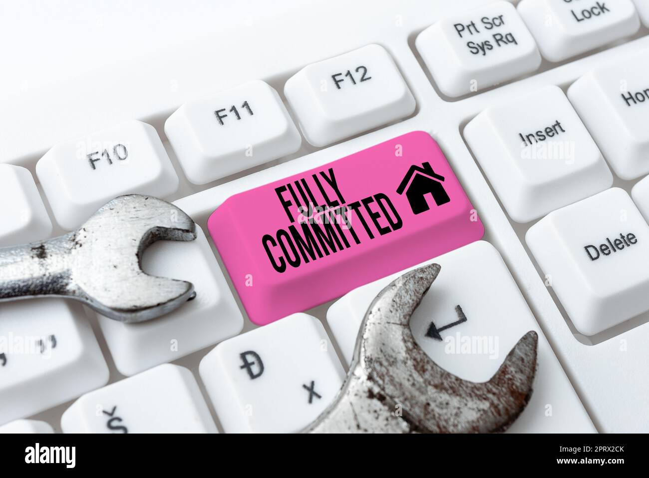 Scrivete a mano testo pienamente CommittedExtremely ha accettato di fare qualcosa nella vita sicuramente. La panoramica aziendale ha accettato di fare qualcosa nella vita sicuramente Foto Stock