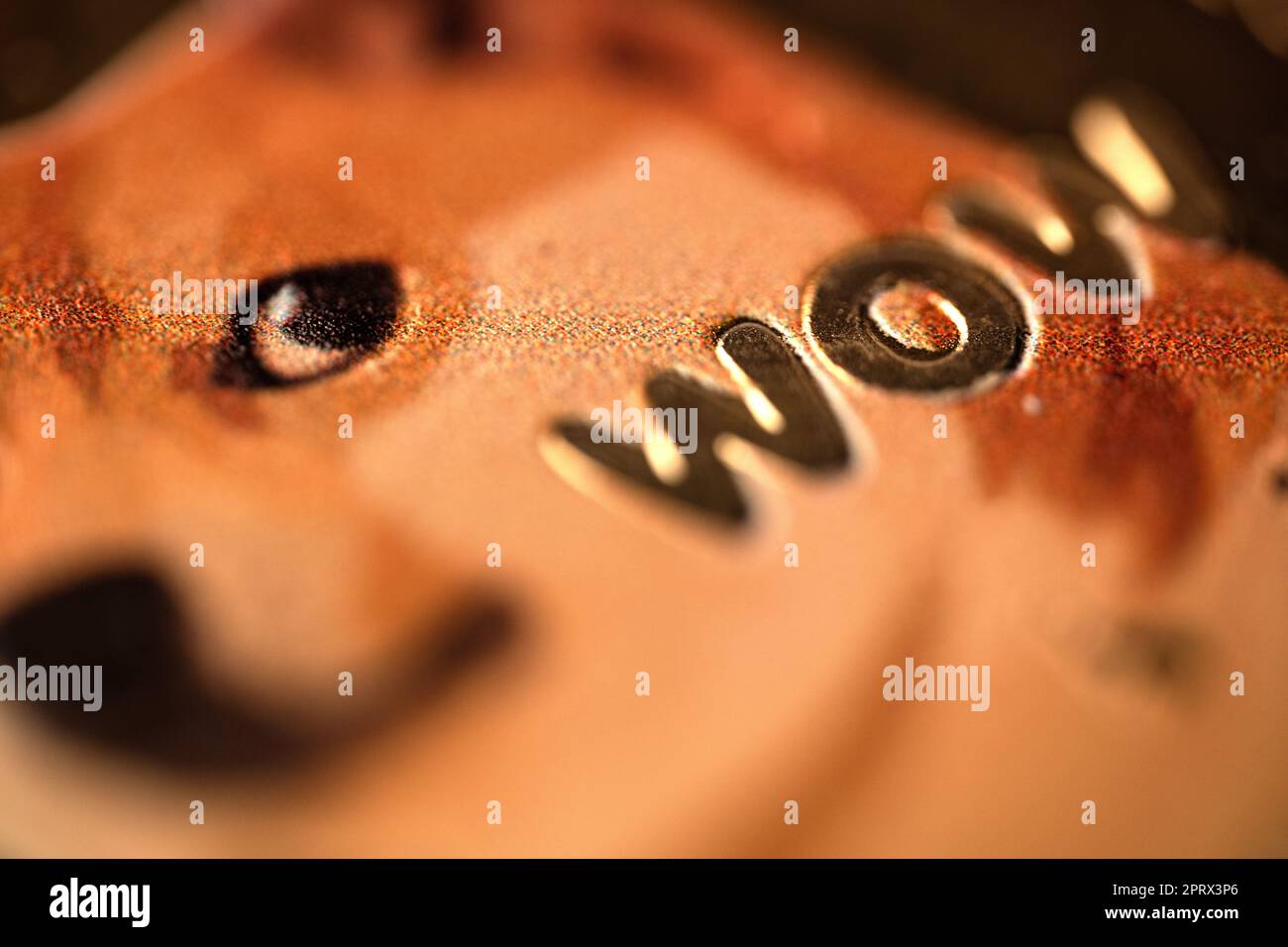 primo piano macro estremo della moneta in meme dorata doge con cane shiba e logo word wow Foto Stock