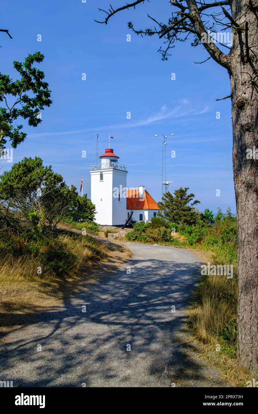 Hammer Odde Lighthouse alla punta settentrionale dell'isola di Bornholm, Danimarca, Scandinavia, Europa. Foto Stock