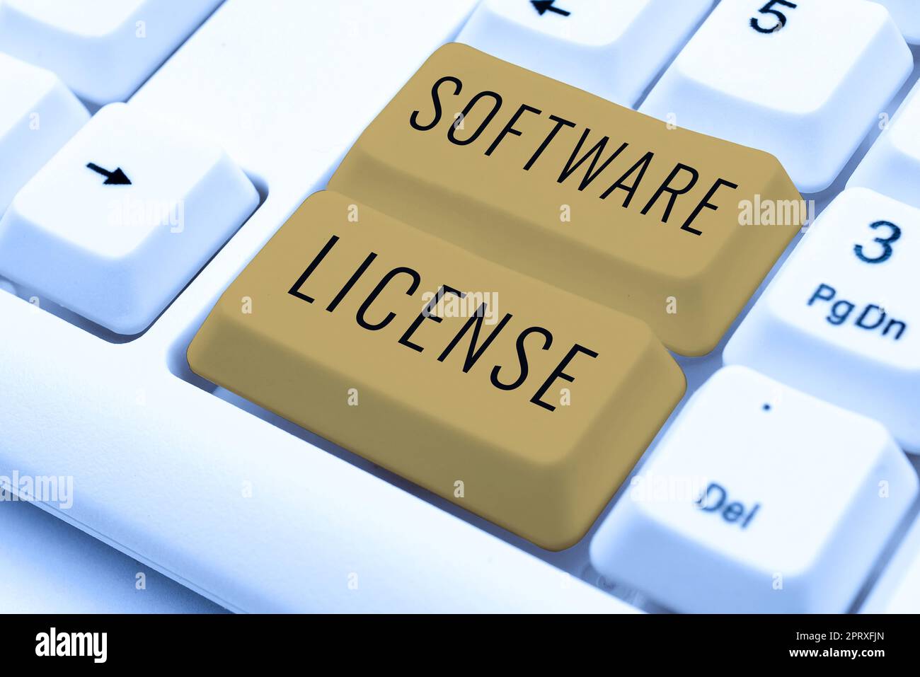 Cartello che mostra la licenza software, strumento legale di Business Concept che regola la ridistribuzione del software Foto Stock