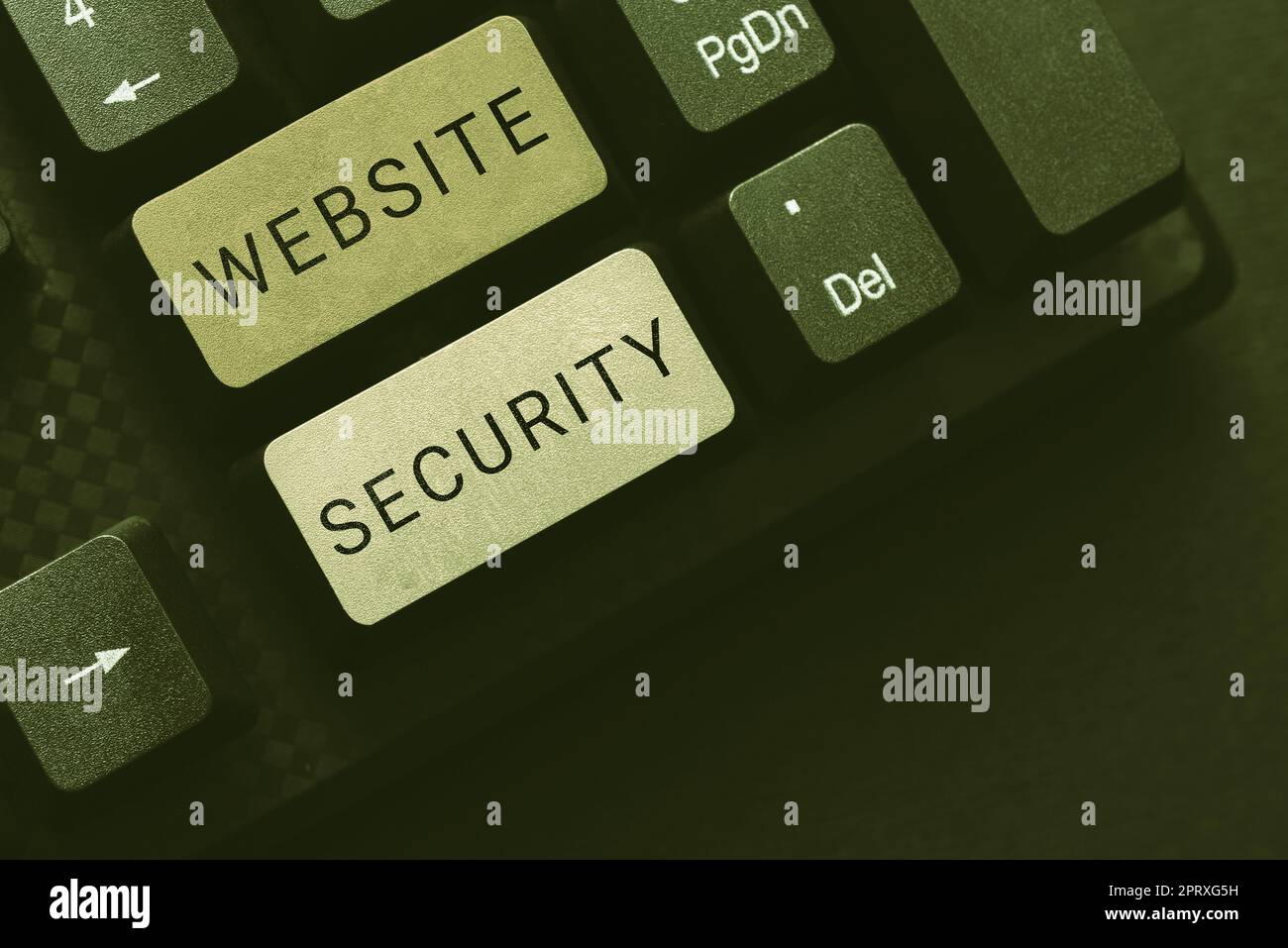 Cartello di testo che mostra la sicurezza dei siti web, Word scritto su componenti critici per proteggere e proteggere i siti web Foto Stock