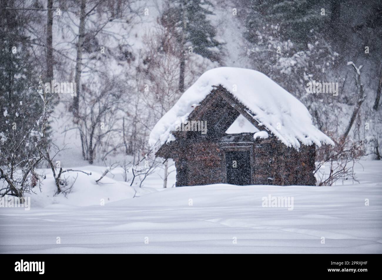 Vecchia casa in legno abbandonata. Il tetto è ricoperto da uno spesso strato di neve. Altai nella stagione invernale. Siberia, Russia. Foto Stock