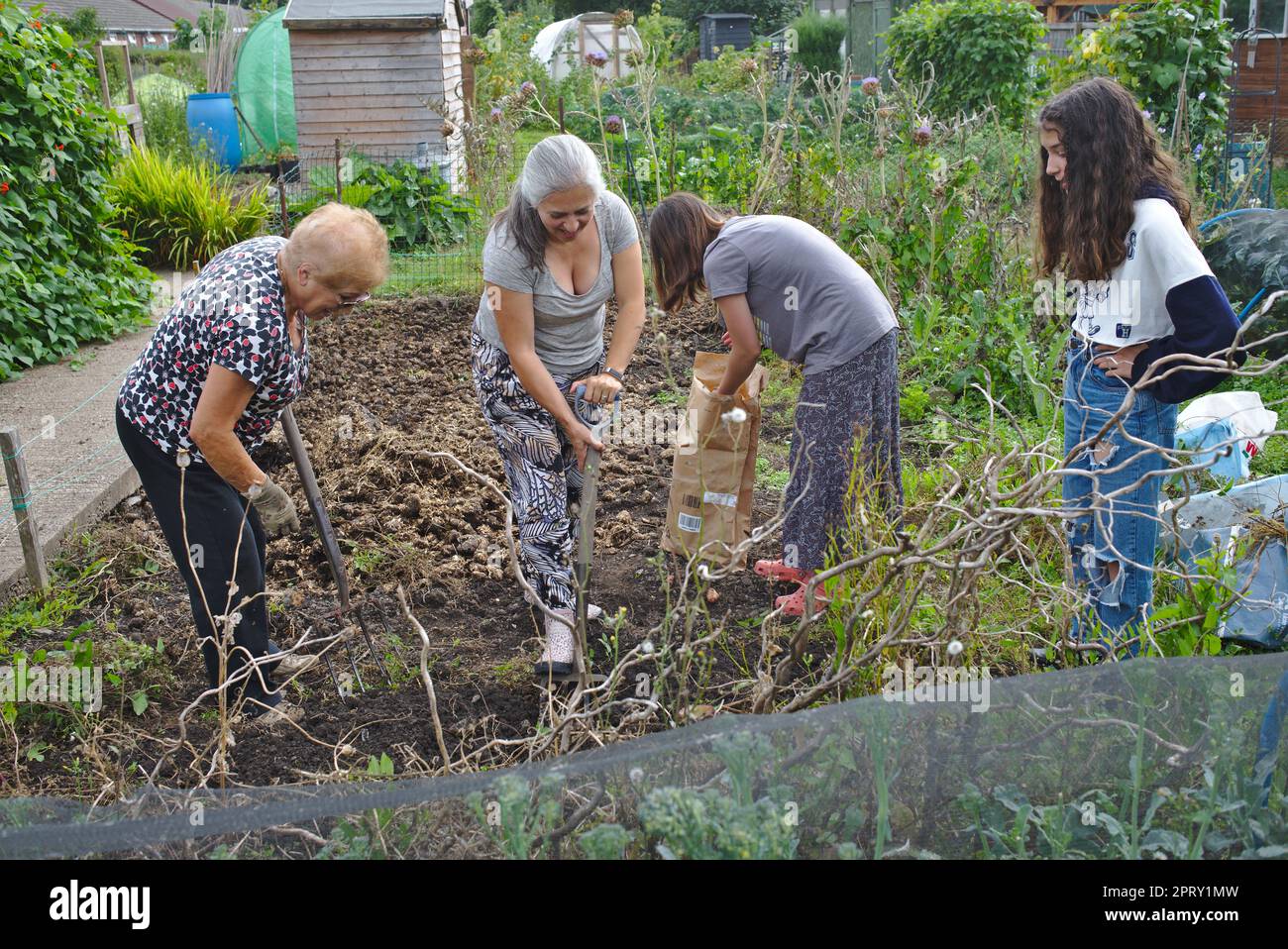 Tre generazioni di donne che lavorano insieme per un'assegnazione familiare Foto Stock