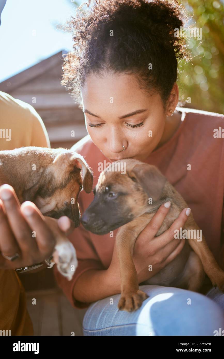 Amore, cane e riparo animale con una donna nera baciare un cucciolo ad una sterlina di salvataggio per adozione o cura. PET, senza tetto e promuovere con una donna volontariamente Foto Stock